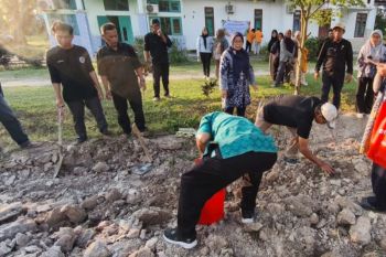Pakar UGM: Inovasi hijauan pakan fondasi penting dalam sistem peternakan