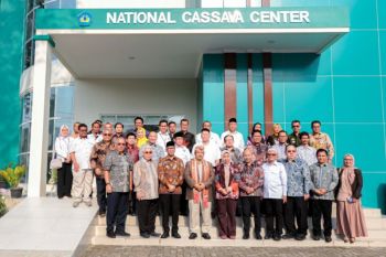 Indonesia eyes cassava a future growth driver through research center
