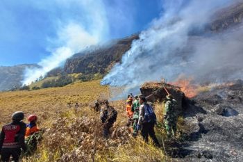 Karhutla di Bromo belum padam dengan luas lahan terbakar 10 ha
