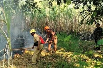 BPBD Magetan ingatkan jangan sembarangan nyalakan api di area mudah terbakar