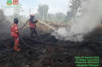 Diukur ulang, Karhutla di SM Kerumutan Pelalawan ternyata mencapai 54 hektare