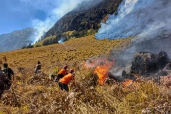 Kemenhut kerahkan operasi terpadu atasi karhutla savana Gunung Bromo