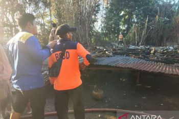 Pemkab Situbondo menanggung biaya bangun tiga rumah korban kebakaran