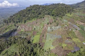 Penguasaan lahan tanpa izin di Gunung Kerinci