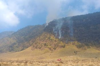 BPBD: Luas savana Bromo yang terbakar capai 80 hektare