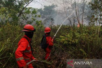 BPBD Palangka Raya tangani 151 kejadian kebakaran lahan