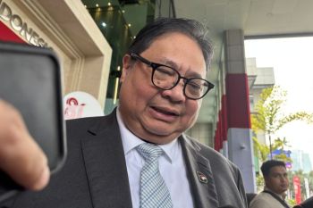 Airlangga: RKAT Danantara direvisi menyesuaikan DSI dan DDMF