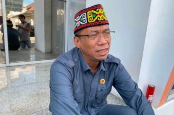 DPRD Kalteng minta penanganan karhutla Tumbang Nusa ditingkatkan