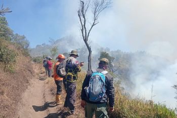 Karhutla TNBTS mengarah ke Wisata B29 Lumajang