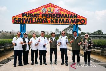 Kemenhut dan APP Group rehabilitasi hutan lewat Pusat Persemaian Sriwijaya Kemampo Banyuasin