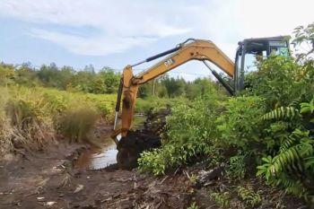 Kalimantan Tengah perkuat penanganan karhutla melalui normalisasi kanal