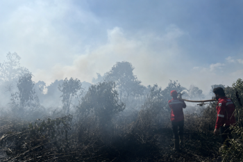 Dishut Kalteng ajak penguatan kolaborasi optimalkan penanganan karhutla