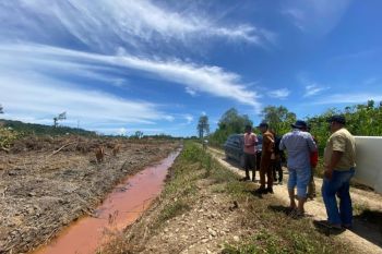 Dinas pertanian Aceh Jaya cetak 1.000 hektare sawah baru tahun ini