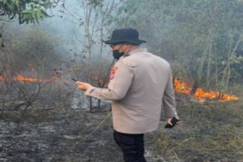 Polres Banjarbaru usut dugaan pidana penyebab karhutla di Cempaka