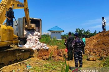Balai Karantina musnahkan 14,5 ton daging ayam busuk di Nabire
