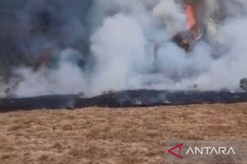Jalur pendakian Gunung Gede-Pangrango ditutup karena kebakaran Alun-alun Suryakancana