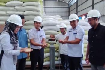 Pemkab Simeulue pastikan beras bantuan penuhi standar mutu