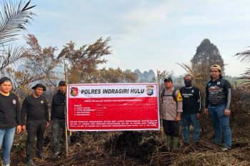 Buang puntung rokok sembarang, pelangsir sawit sebabkan karhutla lima hektare