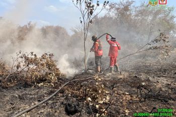 100 hektare lebih kebakaran lahan di Riau masih ditangani, sumber air jadi kendala