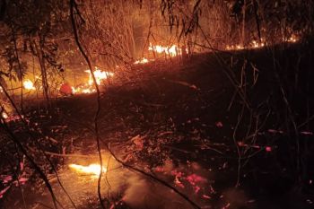 BMKG ingatkan potensi kebakaran hutan dan lahan pada 9-15 Agustus