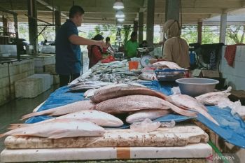 Bank Indonesia Balikpapan mewaspadai kemarau pengaruhi inflasi Kabupaten Penajam