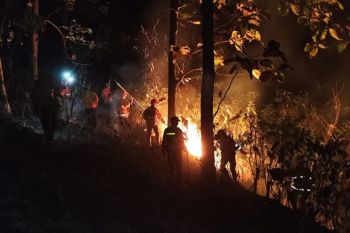BPBD Ciamis sebut kebakaran lahan Perhutani tidak meluas