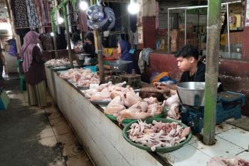 Jelang Maulid harga pangan masih stabil di Mataram