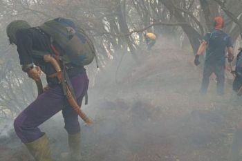 Pendakian  ke Gunung Gede Pangrango, ditutup
