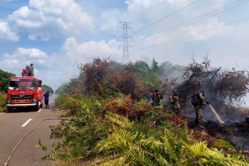 Bupati Kotim instruksikan seluruh OPD turun tangan atasi karhutla