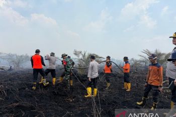 Tim Satgas Jambi upaya padamkam karhutla di lahan 50 ha