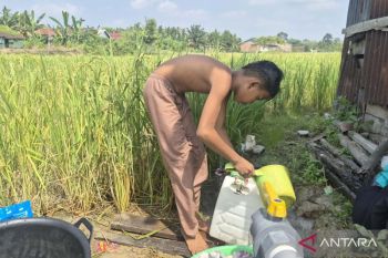 Sumur bor pertanian jadi solusi air bersih saat kemarau di Jambi