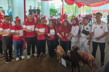 Kemenimipas sambut HUT RI dengan jalan santai hingga bersih-bersih TMP