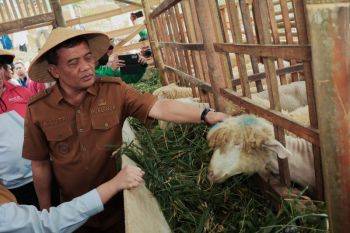 Jateng sulap lahan tidur jadi kawasan pertanian terpadu