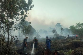 Karhutla semakin marak, Pemkab Kobar siap berlakukan tanggap darurat