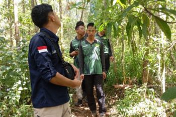 BBKSDA Sulsel-komunitas perketat patroli kawasan hutan Malino