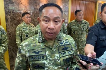 Panglima TNI imbau masyarakat tak terprovokasi hoaks di media sosial