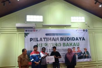 Pertamina Patra Niaga Kembangkan Budi Daya Kepiting Bakau di Tarakan