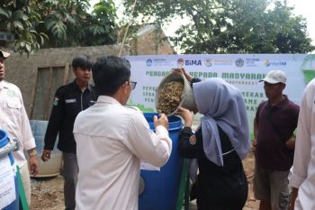 Polinela perkuat ketahanan pangan lewat pertanian terpadu di Lampung Selatan