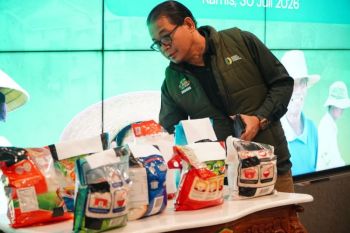 Bapanas tegaskan usut tuntas dugaan kecurangan beras fortifikasi