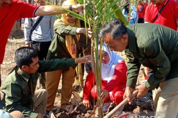Ratusan siswa SMKN 1 Kendit Situbondo lakukan rehabilitasi hutan