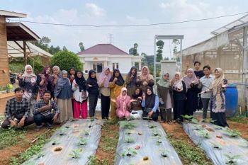 Polinela dan Unila terapkan IoT dan PLTS untuk penyiraman kebun terong
