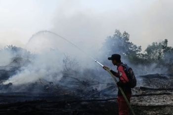 Kemenhut perkuat deteksi dini karhutla, pantau 73 hotspot di Kalsel