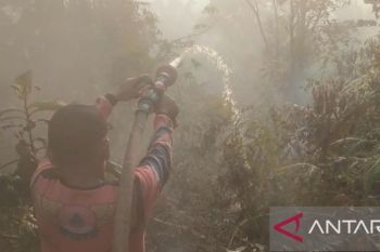 BPBD Muara Enim padamkan karhutla seluas delapan hektare di tiga lokasi