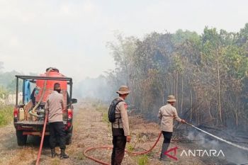 BNBP: 10 provinsi dikepung kebakaran hutan dan lahan
