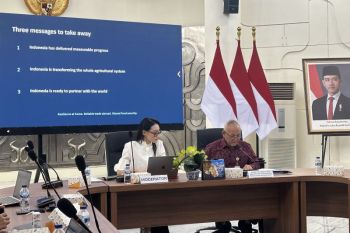 Indonesia confident on food security outlook as farm output rises