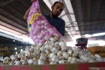 BPS: Harga bawang putih mulai turun dan relatif terkendali