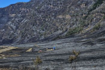 Wisatawan terdampak penutupan Bromo bisa minta pengembalian dana, ini caranya!