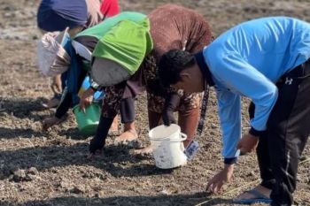 Mahasiswa KKN UIN Walisongo mendukung Program Ketahanan Pangan BUMDes