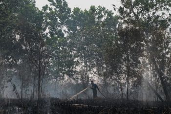 Berikut perkembangan karhutla di Palangka Raya