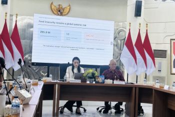 Indonesia says no rice imports planned for 2026 amid El Nino threat